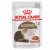 Royal Canin FHN Ageing 12+ in Gravy 12x85g