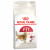Royal Canin FHN Fit 32 4kg