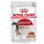 Royal Canin FHN Instinctive in Gravy 12x85g