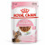Royal Canin FHN Kitten Sterilised Gravy 12x85 g