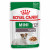 Royal Canin SHN Mini Ageing 12+ Wet 12x85g